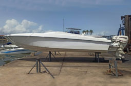 
										MERLIN 25 full									