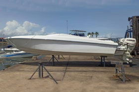 MERLIN 25