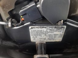 
										MOTOR MERCURY 115HP full									