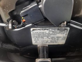 MOTOR MERCURY 115HP