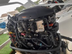 
										MOTOR MERCURY 115HP full									