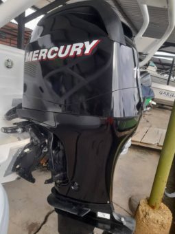 
										MOTOR MERCURY 115HP full									