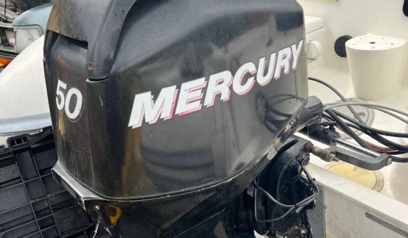 MOTOR MERCURY 50HP, VENTA DE MOTOR MERCURY 50HP, MOTOR MERCURY 50HP DE LECHERIA