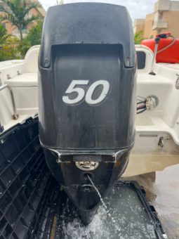 
										MOTOR MERCURY 50HP full									