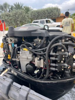 
										MOTOR MERCURY 50HP full									