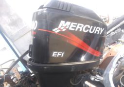 
										MOTOR MERCURY EFI 200 HP full									