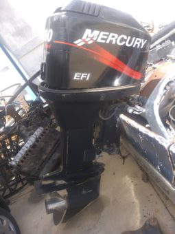 
										MOTOR MERCURY EFI 200 HP full									