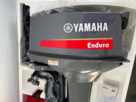 MOTOR YAMAHA ENDURO 40HP