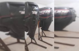 PAREJA EVINRUDE ETEC 250HP