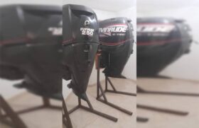 PAREJA EVINRUDE ETEC 250HP