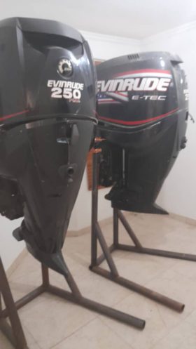 PAREJA EVINRUDE ETEC 250HP