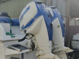 
										PAREJA MOTORES EVINRUDE E-TEC 250HP full									