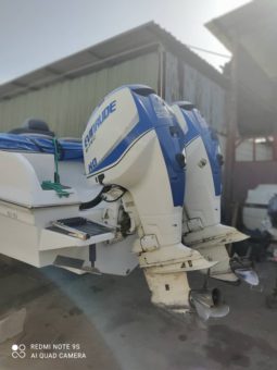 
										PAREJA MOTORES EVINRUDE E-TEC 250HP full									