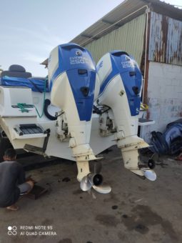 
										PAREJA MOTORES EVINRUDE E-TEC 250HP full									