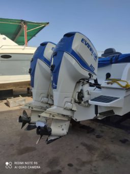 
										PAREJA MOTORES EVINRUDE E-TEC 250HP full									