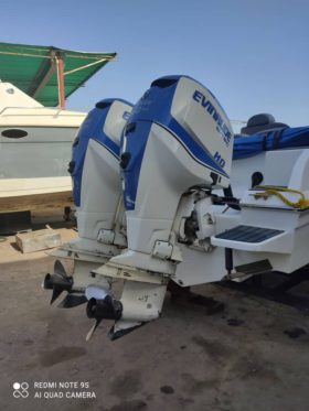 PAREJA MOTORES EVINRUDE E-TEC 250HP