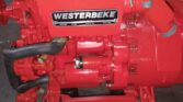 PLANTA ELECTRICA WESTERBIKE 10KWA, VENTA DE PLANTA ELECTRICA WESTERBIKE 10KWA, PLANTA ELECTRICA WESTERBIKE 10KWA DE LECHERIA