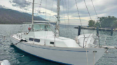 VELERO LINDSEY GLOBEMASTER 39, VENTA DE ,VELERO LINDSEY GLOBEMASTER 39, VELERO LINDSEY GLOBEMASTER 39 DE LECHERIA