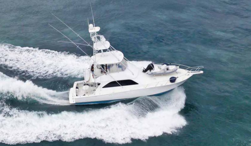 
								VIKING CONVERTIBLE 48 full									