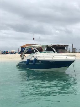 
										PROMARINE 3409 EXPRESS 34 full									