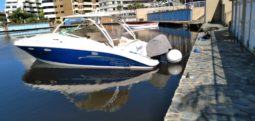 
										PROMARINE 3409 EXPRESS 34 full									