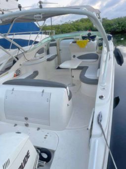 
										PROMARINE EXPRESS 34.5 full									