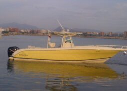 PROMARINE OPEN 33, VENTA DE PROMARINE OPEN 33, PROMARINE OPEN 33 DE HIGUEROTE