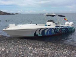 RENEGADE SPORT FISHERMAN CUDDY 33, VENTA DE RENEGADE SPORT FISHERMAN CUDDY 33, RENEGADE SPORT FISHERMAN CUDDY 33 DE LECHERIA