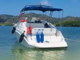 
										RINKER CRUISER 27 full									