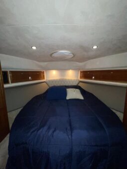 
										RIVIERA FLYBRIDGE 42 full									