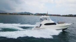 
										RIVIERA FLYBRIDGE 42 full									