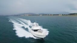 
										RIVIERA FLYBRIDGE 42 full									