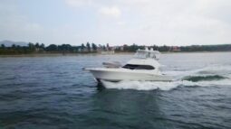 
										RIVIERA FLYBRIDGE 42 full									