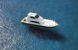 
										RIVIERA FLYBRIDGE 60 full									