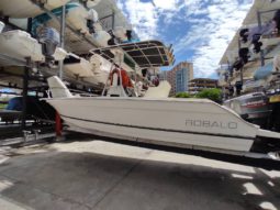 
										ROBALO OPEN 22 full									