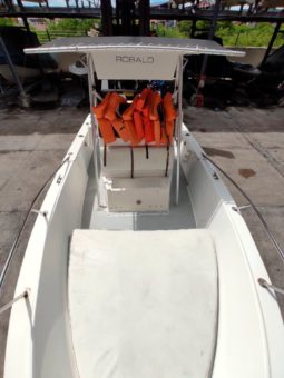 
										ROBALO OPEN 22 full									