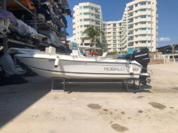 ROBALO OPEN FISHING 20, VENTA DE ROBALO OPEN FISHING 20, ROBALO OPEN FISHING 20 DE TUCACAS