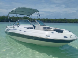 SEA RAY 20, VENTA DE SEA RAY 20, SEA RAY 20 DE TUCACAS