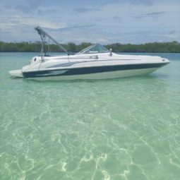 
										SEA RAY 20 full									