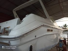 SEA RAY 33