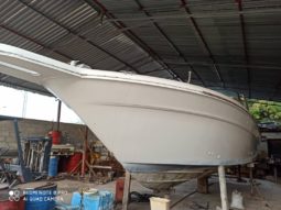 
										SEA RAY 33 full									