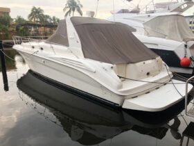 SEA RAY 40