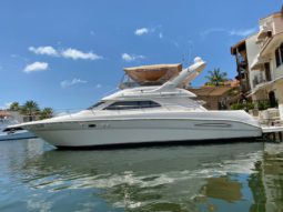 
										SEA RAY 45 full									