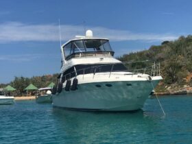 SEA RAY 48