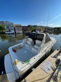 
										SEA RAY AMBERJACK 34 full									