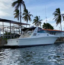 
										SEA RAY AMBERJACK 34 full									