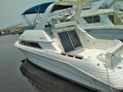 
										SEA RAY SEDAN BRIDGE 35 full									