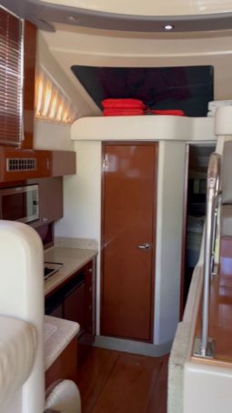 
										SEA RAY SEDAN BRIDGE 36 full									