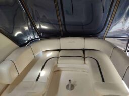 
										SEA RAY SEDAN BRIDGE 44 full									