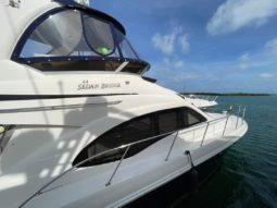 
										SEA RAY SEDAN BRIDGE 44 full									